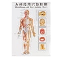 thumbnail image 2 of Scrapping Healthcare Human Acupuncture Wall Chart Diagram Foot Hand Head Ear Acupuncture Meridian Chart(7pcs), 2 of 9