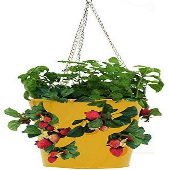 8396E-SAFF S-2 Enameled Galvanized Steel Strawberry, Herb & Floral Hanging Planter, Saffron - Set of 2