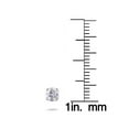 thumbnail image 3 of 14K White Gold 1/2 Carat TW Natural Round Cut Diamond 4-Prong Stud Earrings, 3 of 3