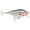 Dracula, variant on Storm Original Thinfin 06 Shallow/Medium Diving Crankbait