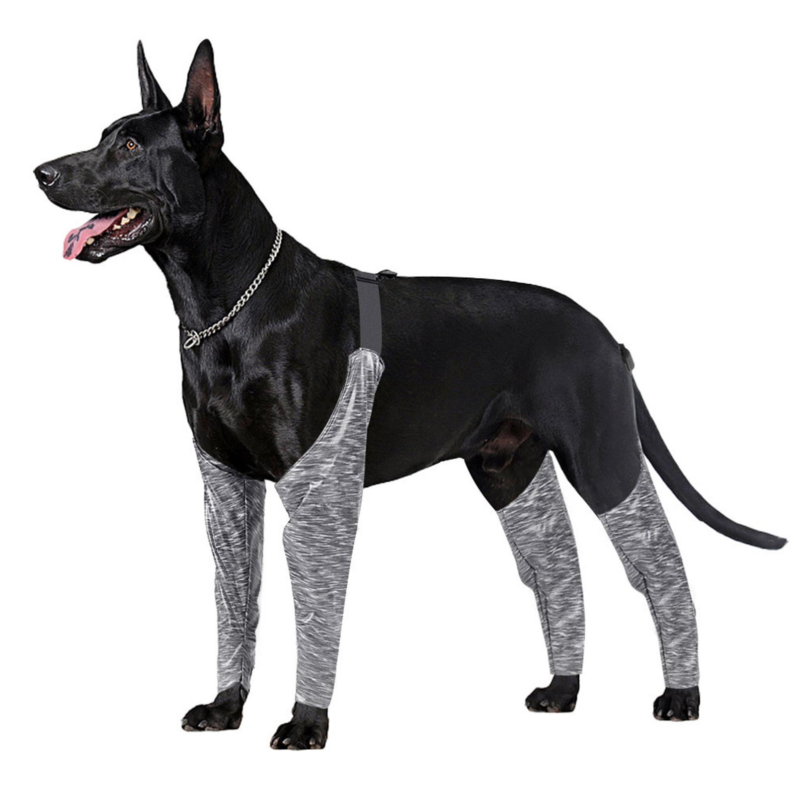 Dog Leg Wrap Dog Waterproof Leg Harness For Heals And Prevents Injuries Dog Leg Wrap Dog Waterproof Leg Harness For Heals And Prevents Injuries