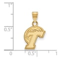 thumbnail image 2 of Real 14kt Yellow Gold LogoArt Tulane University Small Pendant; for Adults and Teens; for Women and Men, 2 of 2