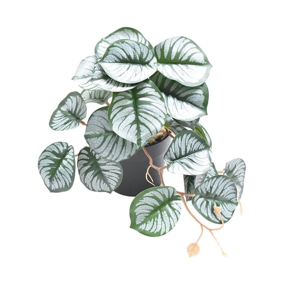 Naiovety Decoraciones realistas para terrarios - Apariencia realista Bajo mantenimiento Artificial no tóxico Decoración hoja de lira