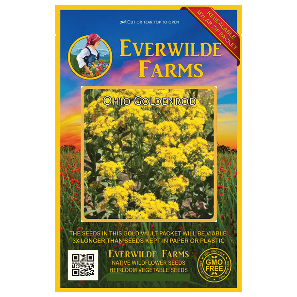 Everwilde Farms 2000 Ohio Goldenrod Native Wildflower Seeds Gold
