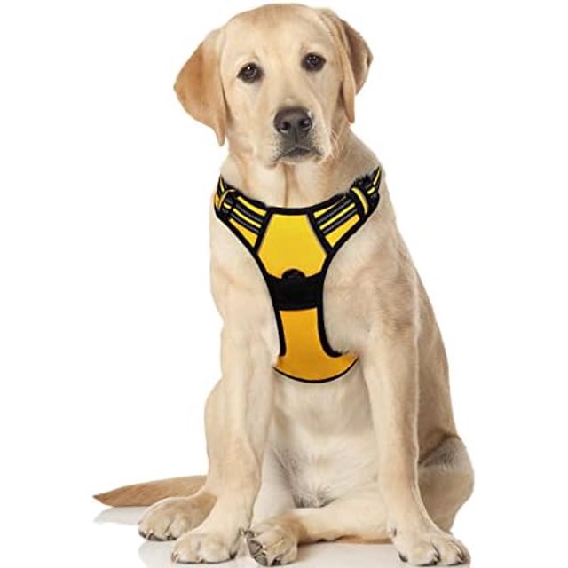 rabbitgoo Dog Harness No-Pull Pet Harness with 2 Leash Clips Adjustable Soft Padded Dog Vest Reflective No-Choke Pet Oxford Vest with Easy Control Handle for Large Dogs Orange L