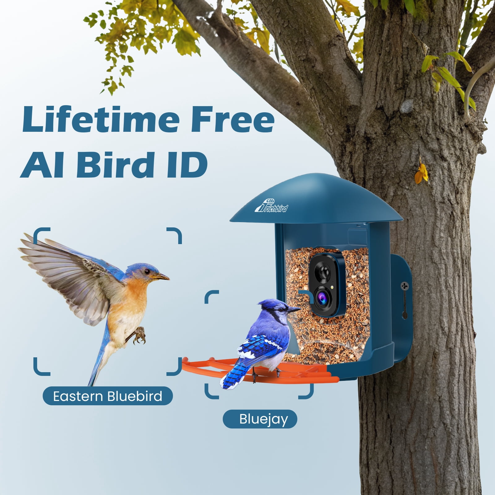 Coolfly x Richbird Wireless Solar Smart Bird Feeder with 2K HD Camera and Free AI Identification, Waterproof Outdoor Bird Watching Camera with Phone App & Two-Way Audio - Deep Blue