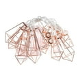 thumbnail image 1 of Luces De Hadas Led De Diamantes De Oro Rosa Caja De Batería Decoración Luz De Cadena Kearding HA025339-01, 1 of 7