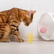 thumbnail image 5 of 40 juguetes de resorte para gatos, resortes de goma, juguetes interactivos para mascotas, 5 of 5