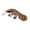 FA, variant on Lynono Co.,Ltd Highly Detailed Simulation Anteater SculptureP1ast1cMiniatureAn1ma1Model For Playtimes And Science Educational