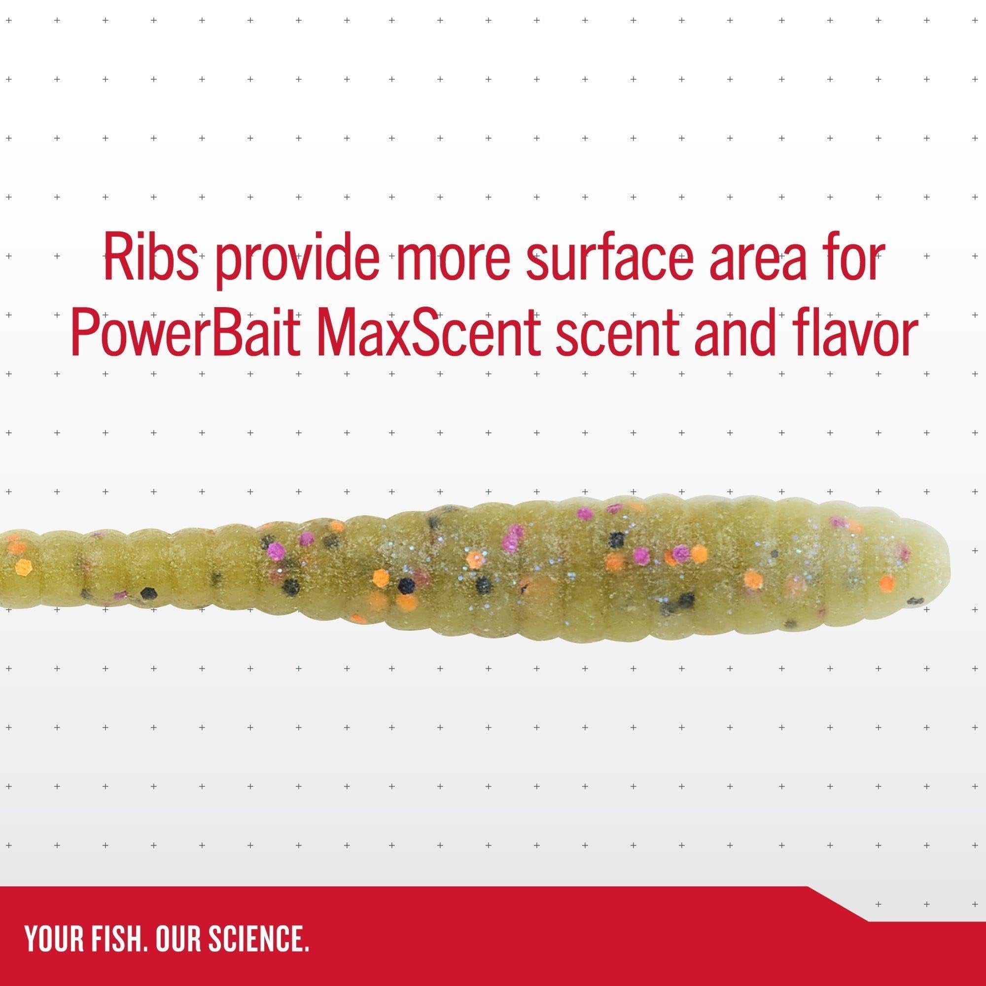 PowerBait® MaxScent Flat Worm