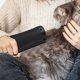 thumbnail image 2 of Peine para perros, peine para quitar el pelo suelto de mascotas, peine para limpiar el pelo de perros y cepillo de aseo., 2 of 5