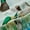 Green, variant on Homewish Brown Mallard Duck Black Out Curtains,Country Farmhouse Lodge Curtains Pack of 2 (42x63 Each),Rustic Flying Animal Bedroom Curtains For Boyskids,Luxury Bedroom Decor