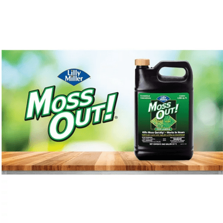 Lilly Miller Moss Out! Lawn Moss Killer Concentrate Herbicide, 1 Gallon