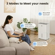 DuraComfort 50 Pint Dehumidifier for 4500 sq ft Basement & Large Rooms, Portable with Drain Hose, Powerful Humidity Control