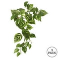 thumbnail image 2 of Vickerman 18" Fabric Artificial Pothos Hanging Bush in Green (Set of 3), 2 of 3