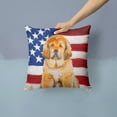 thumbnail image 2 of Carolines Treasures BB9721PW1414 Tibetan Mastiff Patriotic Fabric Decorative Pillow 14Hx14W multicolor, 2 of 4