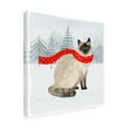 thumbnail image 2 of Trademark Fine Art 'Christmas Cats And Dogs III' Canvas Art by Victoria Borges, 2 of 3