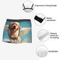 thumbnail image 5 of Rateoe Cute Angel Winged Dog Mens Boxer Briefs Poly Spandex Performance Boxer Briefs Underwear Hem Boxer Briefs - XX-Large, 5 of 8