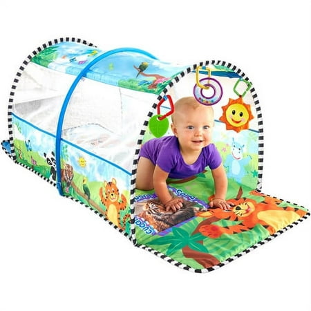 *** Fast Track*** Baby Einstein 2-in-1 S