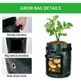 thumbnail image 3 of iPower 3-Pack 10-Gallon Potato Grow Bags Garden Vegetable Plant Pots Container, 3 of 6