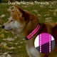 thumbnail image 5 of Collar para perros Nobleza ajustable reflectante para perros grandes, 5 of 8
