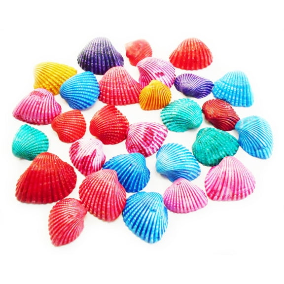 Bulk 1 Lb (400 ) Tiny Dyed Ark Shells Mini Seashells (1/2-3/4") Beach Hobby Crafts Decor Colorful Ocean Art