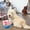 Blue, variant on Automatic Jumping Pig Dog Decor, Interactive Squeaky Plush with Motion & Sound, Crinkle Paper & Music, Bouncing Puppy Plaything for Training & Entertainment