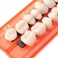 thumbnail image 5 of Full Denture Super Wear-Resistant Dental Teaching Mold Denture (1 Pair), 5 of 6