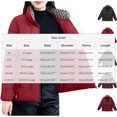 thumbnail image 3 of AUNVITO Women's Thickened Winter Coat Long Sleeve Zip-Up Casual Solid Color Nylon Spandex Blend Outerwear, 3 of 9