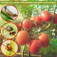 thumbnail image 4 of Garden Insect Netting,8*10Ft Plant Pest Barrier Covers, Mosquito Netting Plant Covers Insect Bird Netting Protection Netting for Vegetable Fruits,Mesh Netting Pest Barrier Protect Garden Plant, 4 of 7
