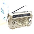 thumbnail image 1 of Radio Solar AM/FM/SW Hand Con Linterna BT Speaker (Caki), 1 of 9