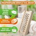 thumbnail image 4 of Konex Wooden Nail Brush for Scrubbing, Fingernail Brush, Nail Scrub Brush, 4 of 11