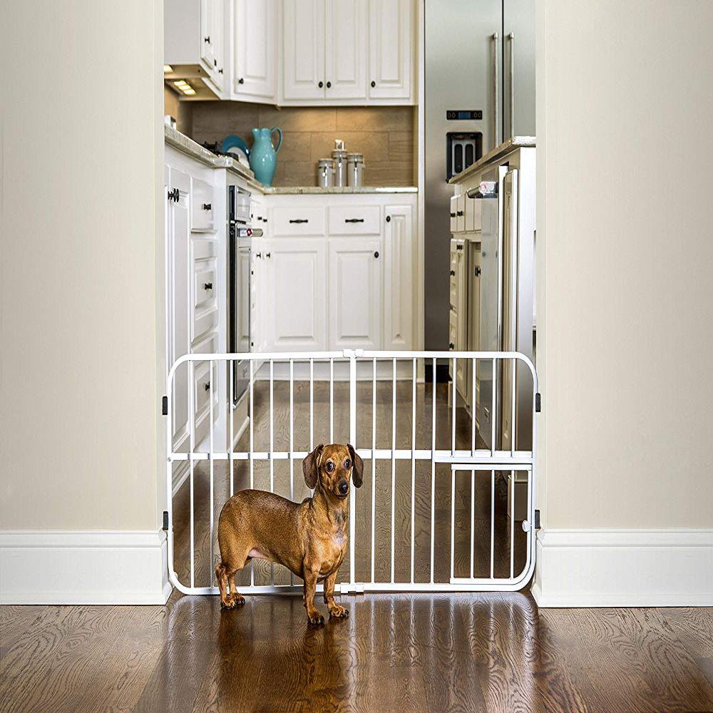 Top 10 Carlson Pet Products Extra Wide Gates The Only Buying Guide You