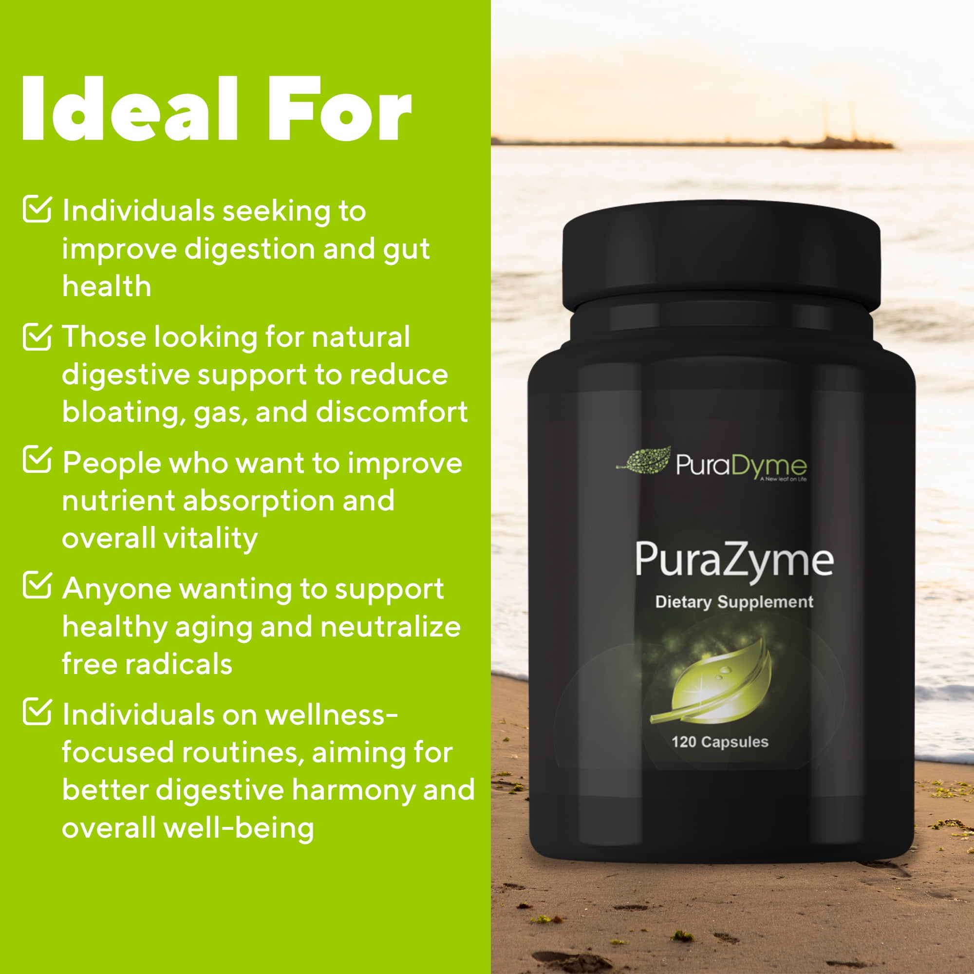 PuraDyme PuraZyme Digestive Enzymes, Digestive and Gut Health Support (120 Caps)