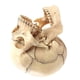 thumbnail image 5 of Medical-Skull Human Body Model Education Skull Model 1:2 for Student Teaching Study Assembling Model, 5 of 5