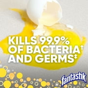 Fantastik All-Purpose Cleaner, Lemon Scent, 32 Ounce Trigger Bottle