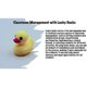 thumbnail image 3 of Lucky Ducks Classroom Management Tool Teacher Resource Grouping Students Elementary School Classroom Classroom Setup, 3 of 5