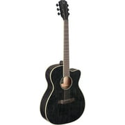 James Neligan 6 String Acoustic-Electric Guitar (YAK-ACFI)