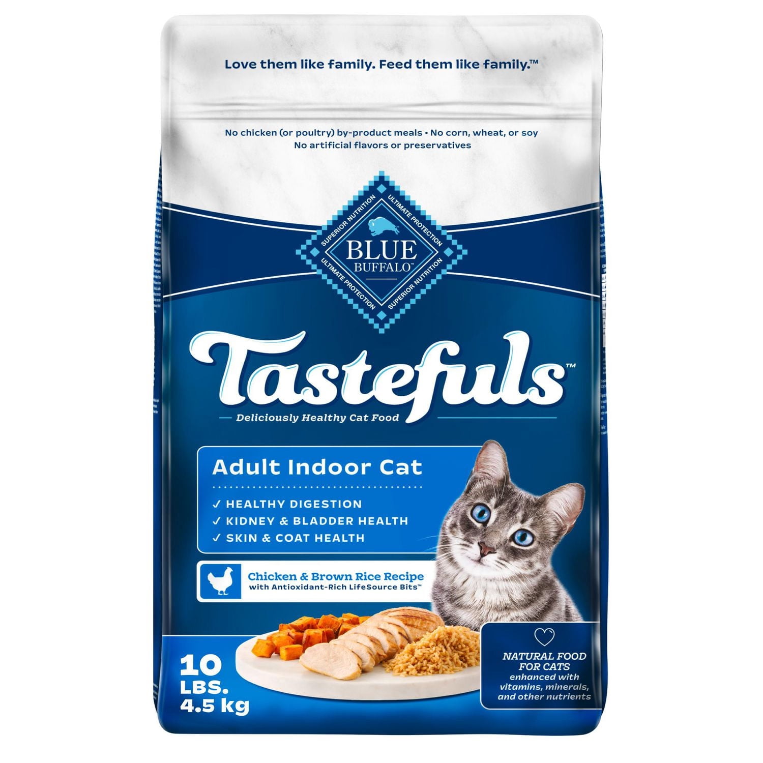 Can I Feed a Kitten Adult Indoor Cat Food: Essential Facts Revealed