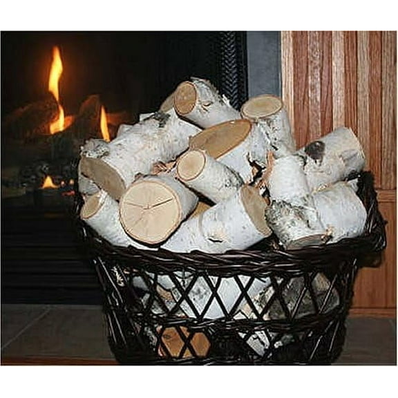 Pieces of White Birch Logs