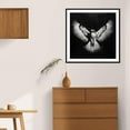 thumbnail image 6 of Moonow7 Majestic Hawk Wall Art Prints, Wildlife Bird Poster for Bedroom Living Room Office Decor, Minimalist Black and White Picture Artwork Aesthetic, Unframed Size 45x45 cm / 18x18”, 6 of 13