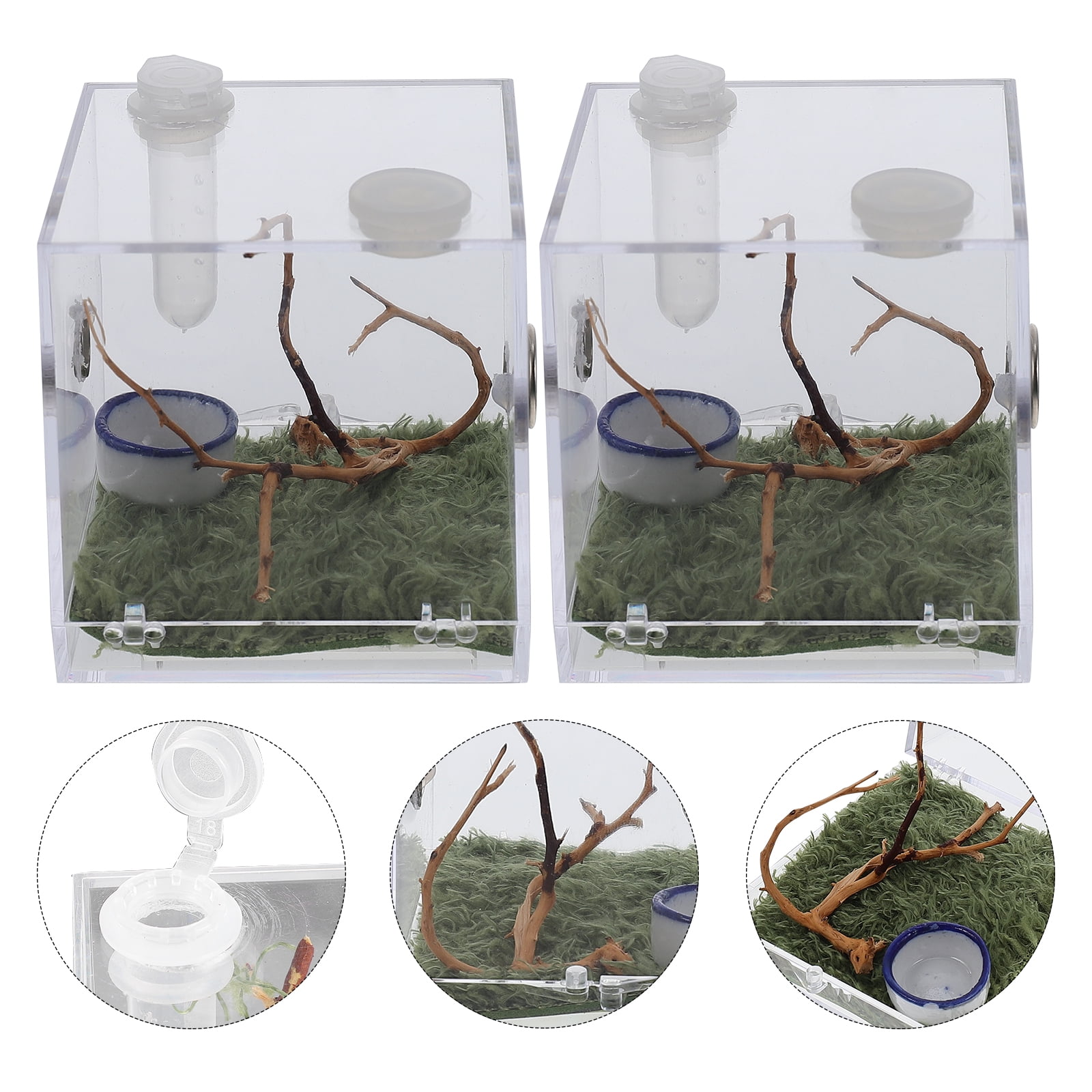 Critter Keeper Terrarium Avec Poignée, Facile à Observer