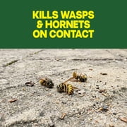 Raid Wasp & Hornet Killer Spray, 22 Ft Jet Spray Nest Killer, Outdoor, 17.5 oz