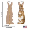 thumbnail image 2 of Bunny Rabbit Cardboard Cutout, 2 of 3