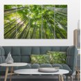 thumbnail image 1 of Design Art - Sommets de Bambou dans la Forêt de Kyoto, 1 of 3