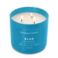 thumbnail image 2 of Colonial Candle Pop of Color Blue Agave Scented Jar Candle, 3 Wick, 14.5 oz, 80 Hours Burn, Water, 2 of 5