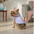 thumbnail image 4 of Vibrant Life Easter I'm Just a Baby Hoodie for Dogs and Cats, Blue, XS, 4 of 9