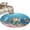 Lake Blue Light Brown, variant on Brown Turtle Coastal Area Rugs 3'x5', Small Throw Rugs for Living Room Bedroom, Summer Beach Coral Seahorse Ocean Octopus Indoor Outdoor Rug Non-Slip Low Pile Carpet Runner Reversible Floor Mats