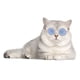 thumbnail image 3 of Gafas de sol para perros y gatos | Montura redonda estilo retro | Tamaño pequeño para muñecos y accesorios de fotos | 12 colores con lentes reflectantes, 3 of 6