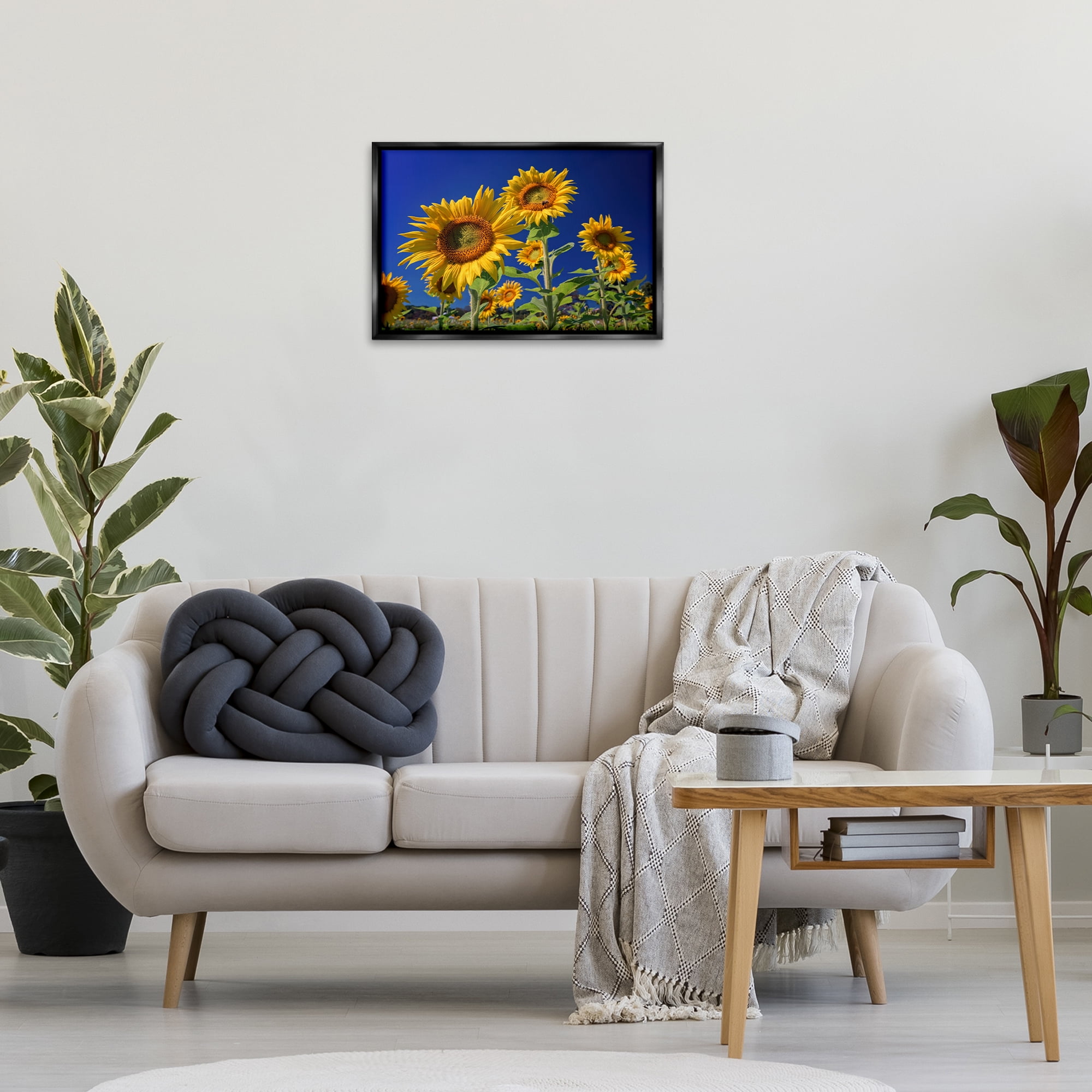 Stupell Industries Bright Sunflowers with Blue Sky Plants & Flowers Photography Black Floater Framed Canvas Art Print Wall Art, 25 x 17